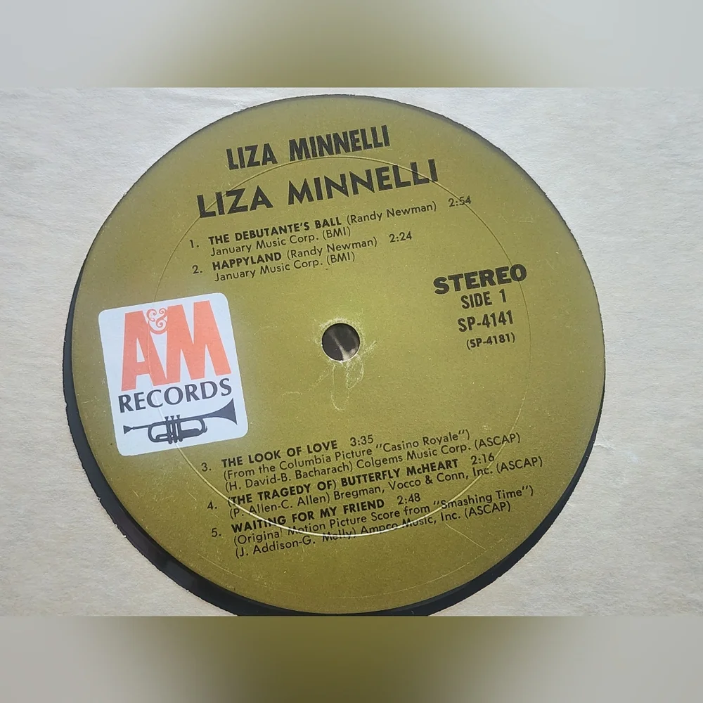 Liza Minnelli Self Titled Vinyl LP AM Records SP 4141 - Picture 3 of 6